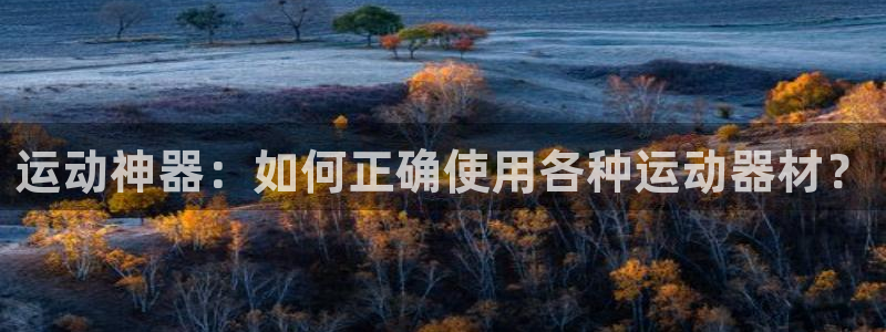 世界杯决赛直播软件：运动神器：如何正确使用各种运动器