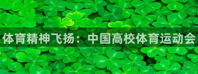 ug环球官网